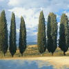 Four Majestic Cypress Trees Diamond Painting