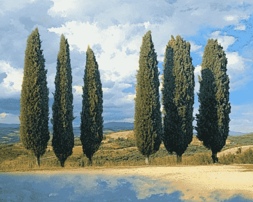 Four Majestic Cypress Trees Diamond Painting