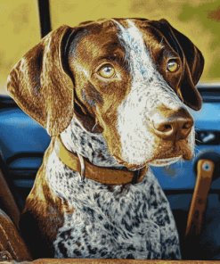 Germanshort Haired Pointer Vintage Diamond Painting