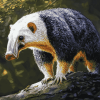 Giant Anteater Wildlife Diamond Painting