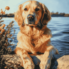 Golden Retriever Summer Fun Diamond Painting