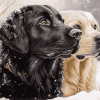 Golden Retriever in Snow Diamond Painting