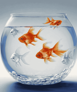 Goldfish Bowl Painting Diamond Painting