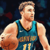 Gordon Hayward Hornets Diamond Painting