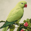 Green Parakeet Bird Diamond Painting