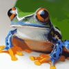 Grenouille Frog Diamond Painting