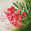 Grevillea Blossoms Diamond Painting