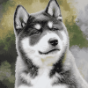 Grey Akita Puppy Diamond Painting