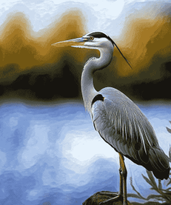 Grey Heron Bird Diamond Painting