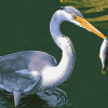 Grey Heron Birds Diamond Painting