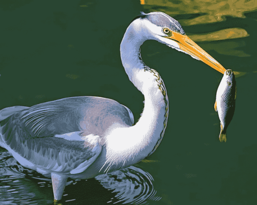 Grey Heron Birds Diamond Painting