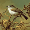 Grey Warbler Birds Diamond Painting