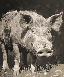 Grey Wild Hog Diamond Painting