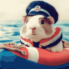 Guinea Pig Sailor Adventure Diamond Painting