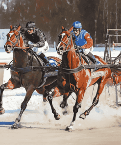 Harness Racing Horses Diamond Painting