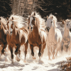 Herd of Horses Galloping Diamond Painting