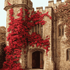 Hever Castle Wall Red Plants Diamond Painting