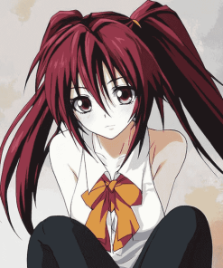 High School Dxd Akeno Anime Art Diamond Painting