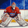 Hockey Goalie Sports Enthusiast Diamond Painting