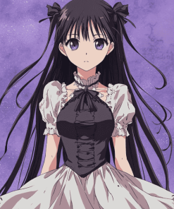 Homura Akemi Anime Diamond Painting