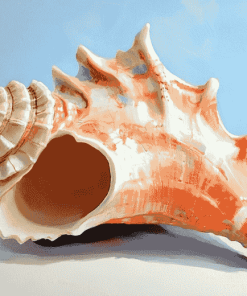 Horse Conch Seashell Diamond Painting