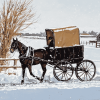 Horse-Drawn Amish Buggy Diamond Painting