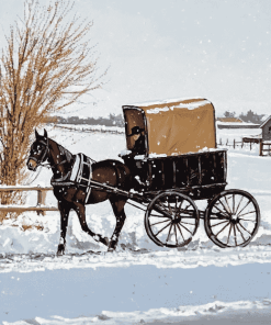 Horse-Drawn Amish Buggy Diamond Painting