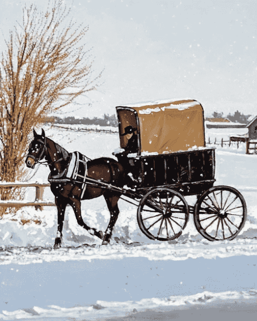 Horse-Drawn Amish Buggy Diamond Painting