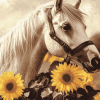 Horse with Sunflowers Diamond Painting