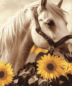 Horse with Sunflowers Diamond Painting