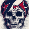 Houston Texans Skull Diamond Painting