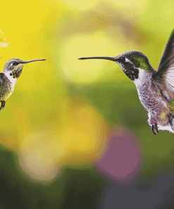 Hummingbird and Bee Nature Diamond Painting