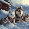 Husky and Cat Snow Adventure Diamond Painting