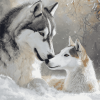 Husky and Dapple Horse Animals Diamond Painting