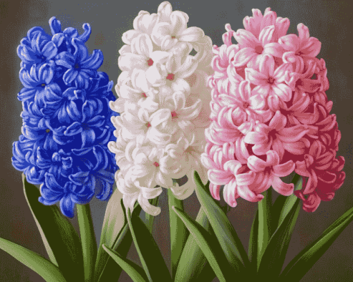 Hyacinth Blossom Diamond Painting