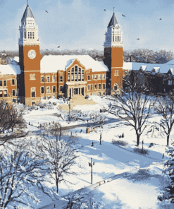 Iowa State Winter Wonderland Diamond Painting