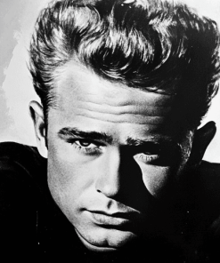 James Dean Black and White Diamond Painting