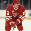 Joe Kocur Detroit Redwings Diamond Painting