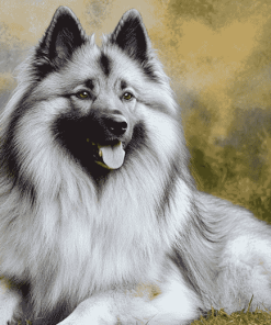 Keeshond Hound Diamond Painting