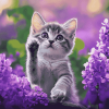 Kitten and Purple Flowers Diamond Painting