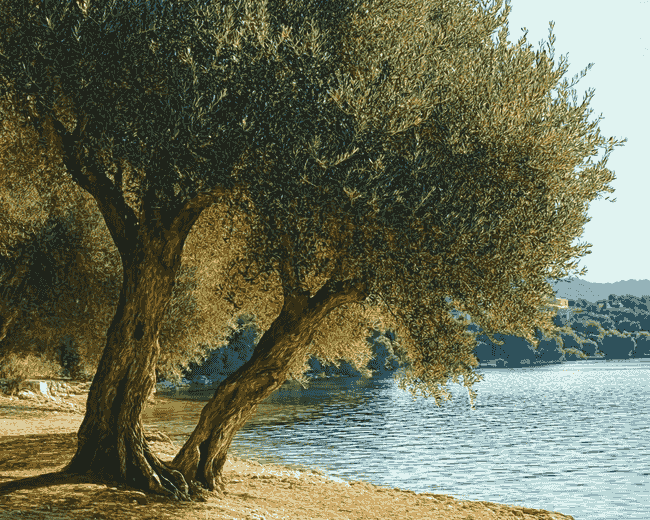 Finalized Lake and Olive Trees Diamond Painting