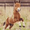 Little Foal Horse Diamond Painting