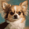 Long Haired Chihuahua Puppy Diamond Painting