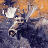 Majestic Moose Wildlife Diamond Painting