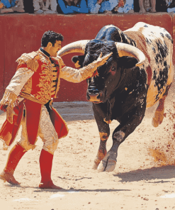 Matador Bullfight Enthralling Scene Diamond Painting