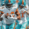 Miami Dolphins American Football Diamond Painting