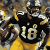 Mike Tomlin Sports Diamond Painting