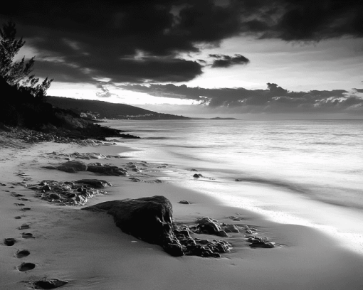 Monochrome Beach Scene Diamond Painting