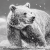 Monochrome Bear Wildlife Diamond Painting