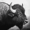 Monochrome Buffalo Diamond Painting